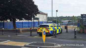 Boy, 16, charged with murder after teenager 'stabbed to death' at skate park