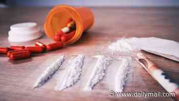 Toddler, 2, overdoses on COCAINE as cops find white powder and straws in Jersey Shore home... and mom's friend who was watching boy while she showered is arrested
