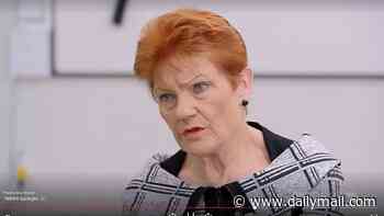 Pauline Hanson's 'go back to Pakistan' comment to Greens senator Mehreen Faruqi faces final reckoning in court