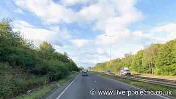 Baby and three others die in fatal UK crash as driver arrested