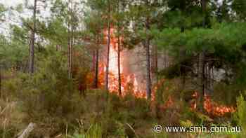 Firefighters battle blaze advancing towards Bordeaux
