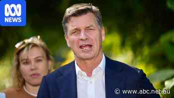 Live: Taylor hoses down Liberal senator's suggestion of coalition with One Nation