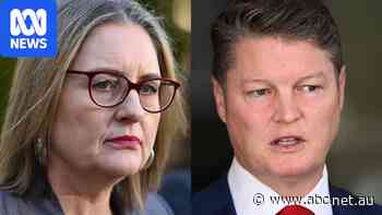 Deputy premier tells Allan he will run for Victorian Labor leadership