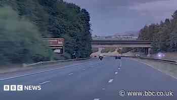 Teen arrested after 140mph motorway police pursuit