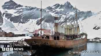 Lost shipyard has bones around the world