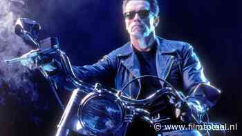 Deze verpletterende hobby van Arnold Schwarzenegger is misschien de meest bizarre in Hollywood