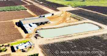 A 304ha Murray River wine grape aggregation has hit the market for $11m