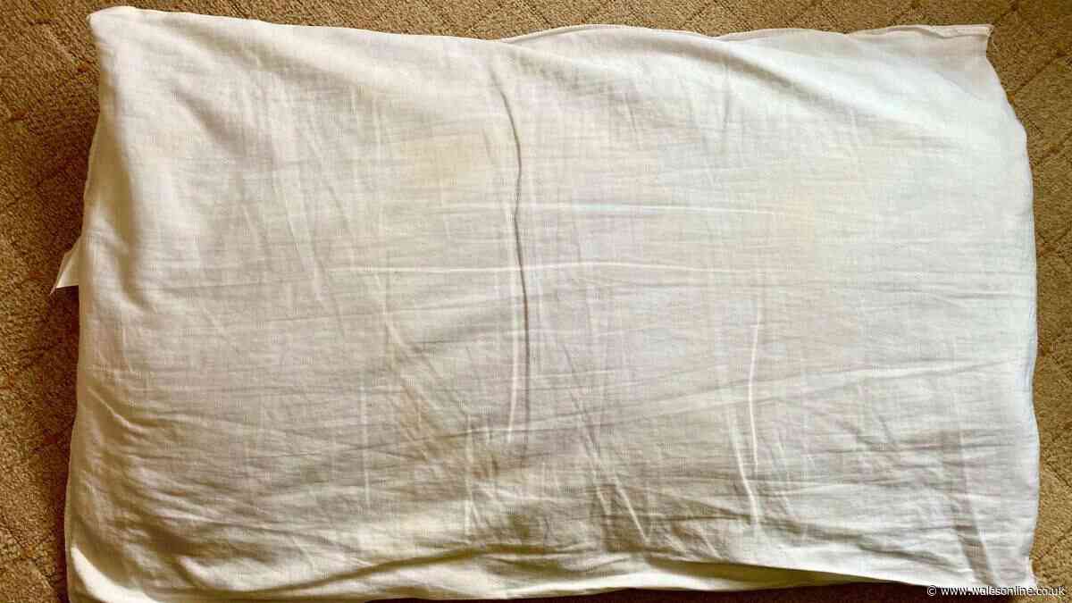 My yellow-stained pillow turned white after the first wash by using 1 natural item