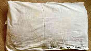 My yellow-stained pillow turned white after the first wash by using 1 natural item