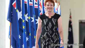 One Nation would be 'within arm's reach' of forming government with the Coalition after bombshell new poll reveals Pauline Hanson's extraordinary surge