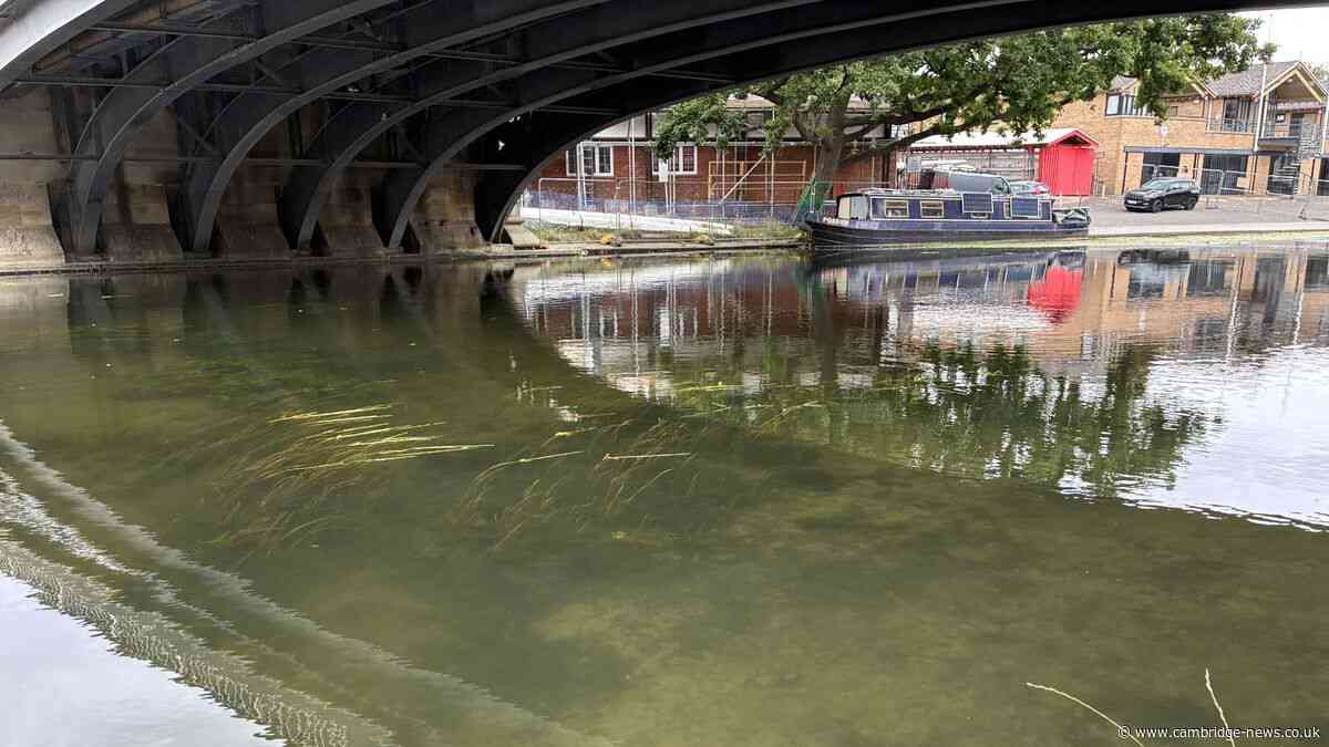 River Cam concerns see calls for action after 'years of lack of maintenance'