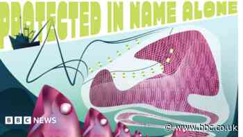 Students' art highlights concerns about fishing
