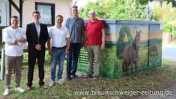 Im Kreis Peine werden die grauen Stromkästen zunehmend bunt