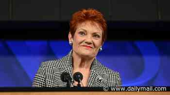 Pauline Hanson accuses 'squirming' Albanese of glaring double standard over Chinese billionaire dinner
