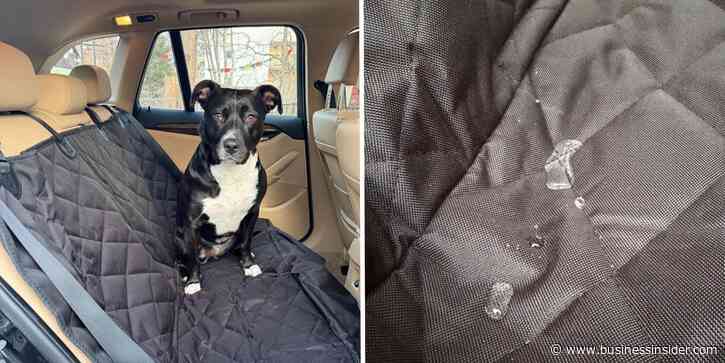 Best dog car seat covers
