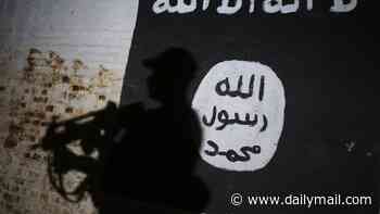 Teen accused of having Islamic State terror material and photo of a 'bomb in a backpack' is allowed back into the community