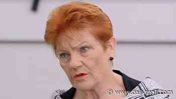Pauline Hanson says free speech is being stifled as she loses 'racism' court case against Mehreen Faruqi - after Greens senator made comment about the Queen's death
