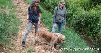 Heel het land leeft mee met Marion, maar hond Tedje is na zeven weken nog steeds spoorloos: ‘Ze is mijn kind’