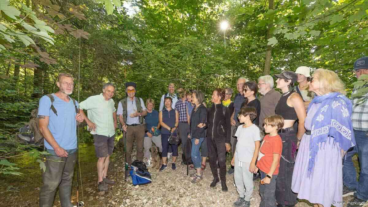 Wanderung am Maisinger Bach: Biber-Damm bringt Fische fast zum Stillstand
