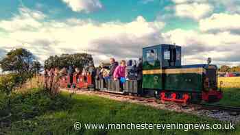 Stunning sunflower maze near Manchester with pedal tractors, play barn and £3.50 train