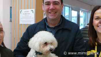 Andy Burnham makes heartbreaking dog decision to protect Larry the cat
