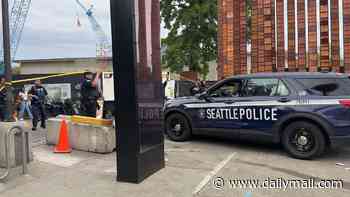 Three dead and four injured including 2-year-old boy in mass shooting near iconic Space Needle in Seattle as terrifying video shows panicked festivalgoers fleeing for their lives