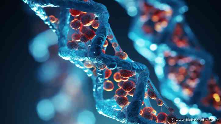 Una nuova molecola rende i tumori più vulnerabili a radio e chemioterapia: “Così si possono ridurre le dosi”