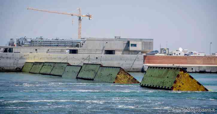 Il paradosso del Mose: salva Venezia dalle maree, ma sta distruggendo l’ecosistema della laguna. “Evitare le chiusure non necessarie”