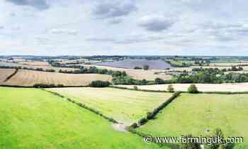 Farmland values slide 4.1% as buyers hold back