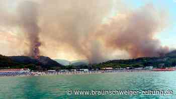 Waldbrand an der Adriaküste: Italien evakuiert Hunderte Menschen mit Schiffen