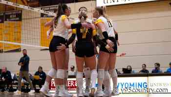 Cowgirl Volleyball Again Receives AVCA Team Academic Award
