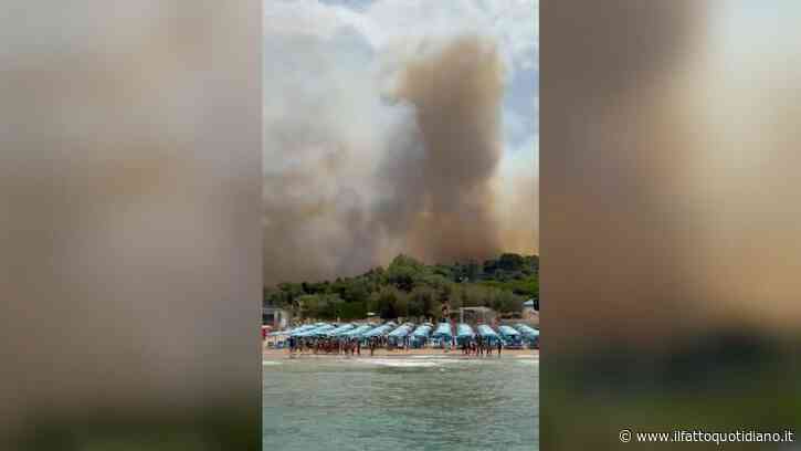 Fiamme nel Gargano, il video delle persone in fila per essere evacuate sulle barche via mare
