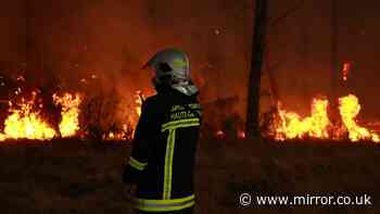 France wildfires live: Bordeaux Airport evacuates hotel zone as city under threat