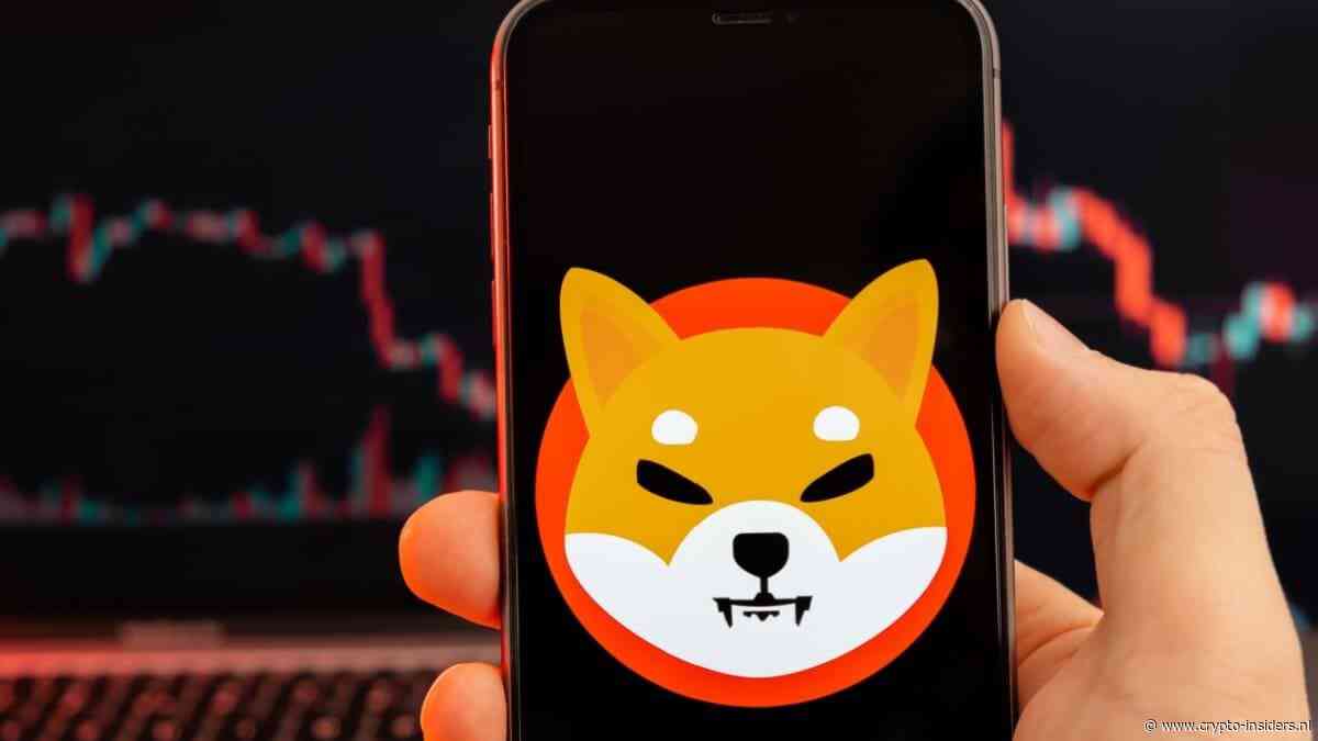 Shiba Inu crasht vandaag 10 procent na mega-stijging in het weekend