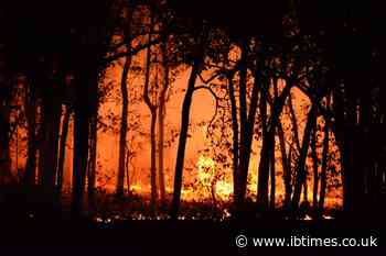 Bordeaux Wildfire Forces Evacuations as Europe's Heatwave Crisis Sparks New Blazes
