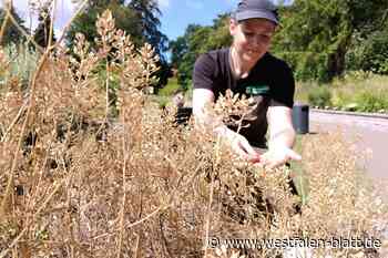 Vom Botanischen Garten in die ganze Welt