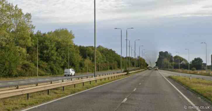 Baby among four dead after car crashed into tree