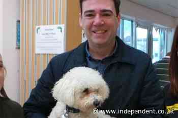 Andy Burnham explains why rescue dog Axel won’t be joining him at No 10