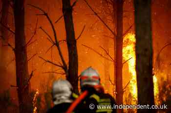 UK preparing for wildfires similar to those that have torn through France and Spain, minister confirms