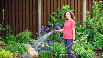 'My neighbour has threatened to call the police if she sees me breaking hosepipe ban'