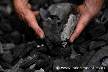 Meet the brothers in Germany keeping the ancient tradition of charcoal burning alive