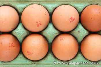 Salmonella outbreak linked to recalled eggs leaves nearly 100 people ill