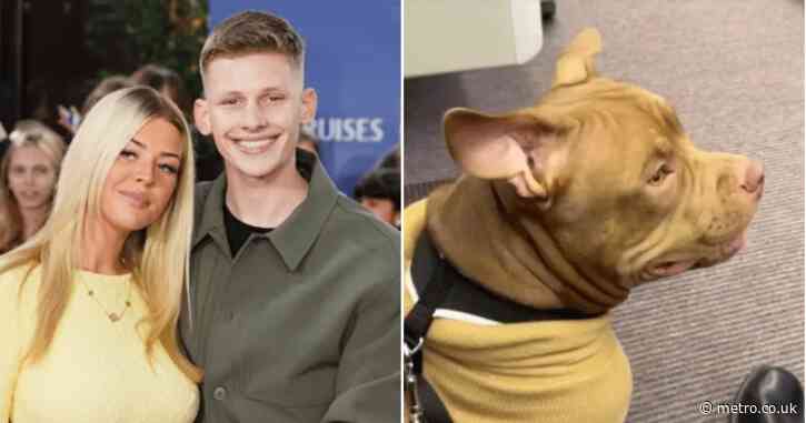 Freddy Brazier’s ex claims dog was ‘mistreated’ before it attacked him