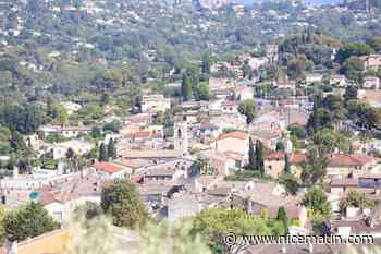 Apéro-visite, fête de la lavande et balade fraîcheur : voilà trois raisons de faire un tour à la Colle-sur-Loup cet été
