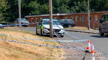 Police issue update after attempted murder probe launched following Newport incident