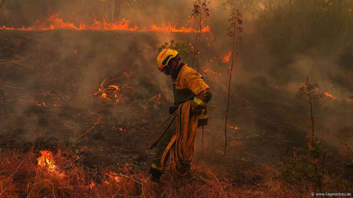 Waldbrände bei Madrid: Erste Evakuierte sollen zurückkehren können