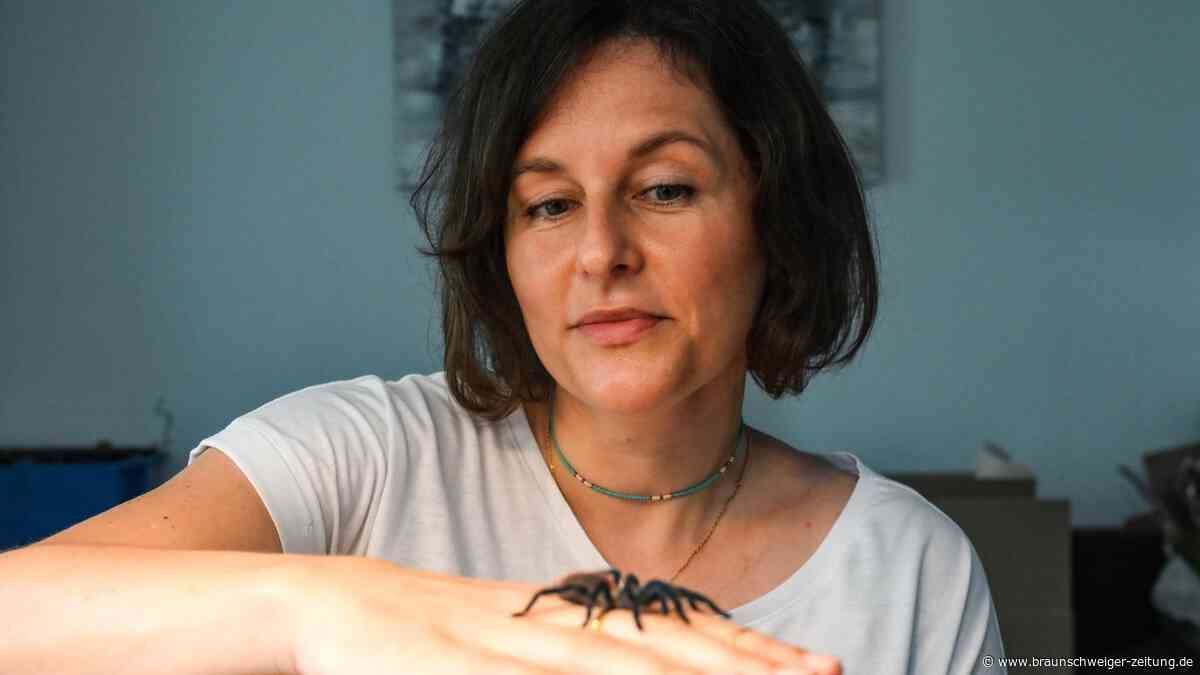 Spinnenphobie: Wie ich in sechs Stunden meine panische Angst besiegt habe