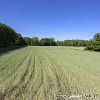 Provincie Zuid-Hollande investeert € 340.000 in groenblauwe dooradering in de Zuid-Hollandse Delta