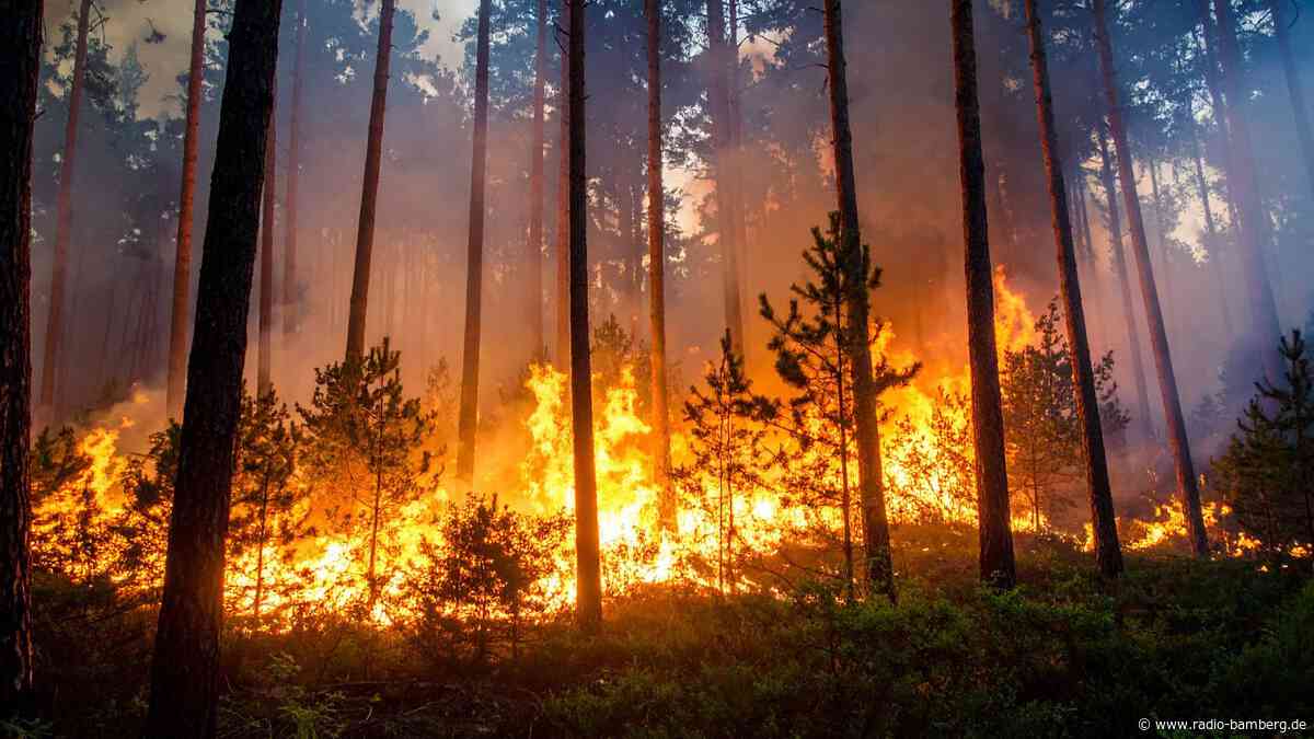Gemeinsam helfen – Landkreis Forchheim ruft zu Spenden für seine französische Partnerstadt Biscarrosse auf