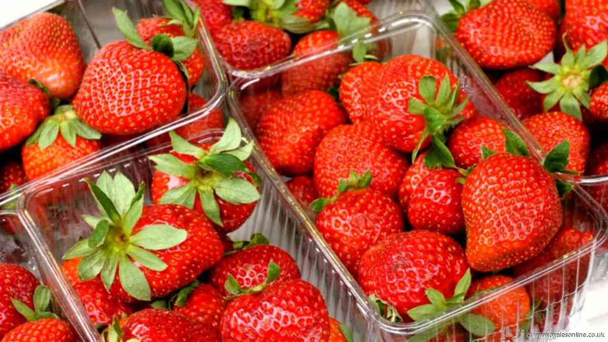 Woman compares Aldi's £1.19 'wonky' strawberries to Tesco and Waitrose and results speak volumes